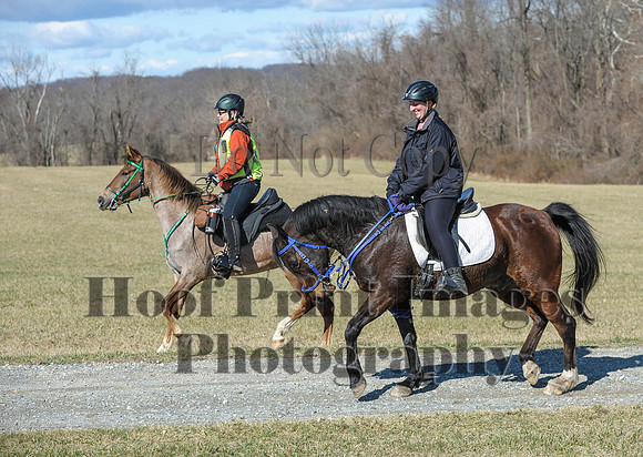 Chesapeake(4-4-15)0375