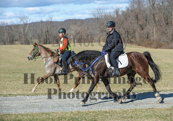 Chesapeake(4-4-15)0376
