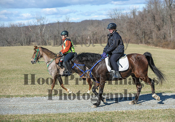 Chesapeake(4-4-15)0377