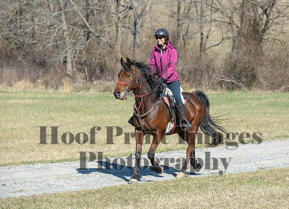 Chesapeake(4-4-15)0378