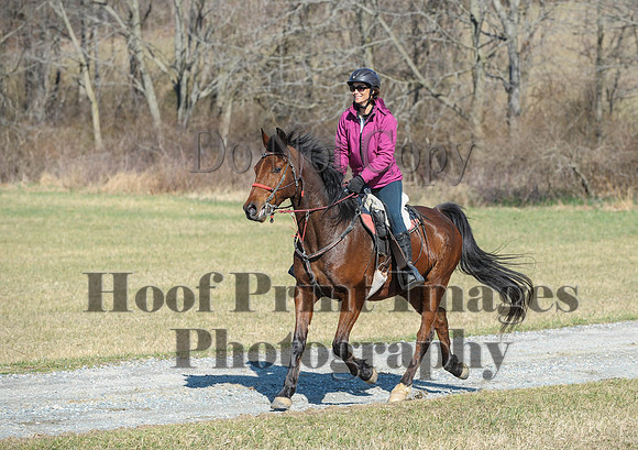 Chesapeake(4-4-15)0379