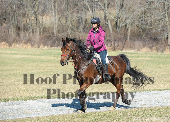 Chesapeake(4-4-15)0380