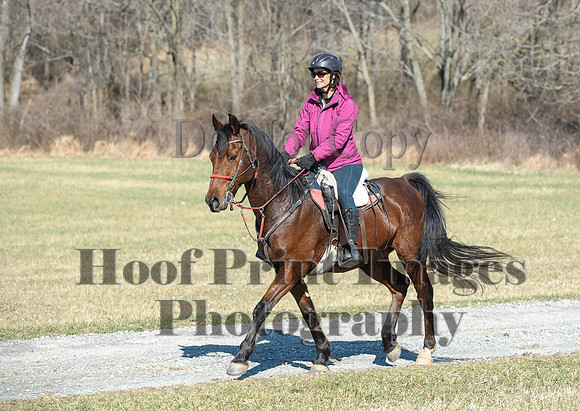 Chesapeake(4-4-15)0381