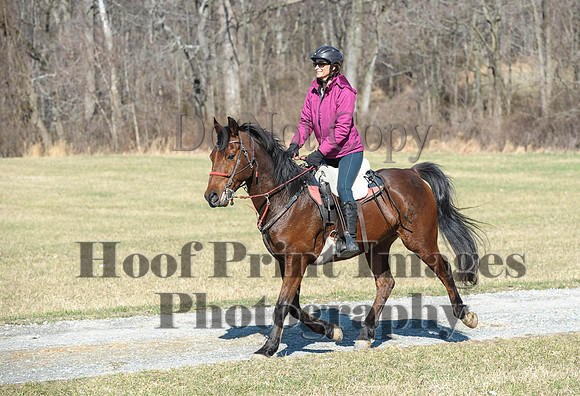 Chesapeake(4-4-15)0382
