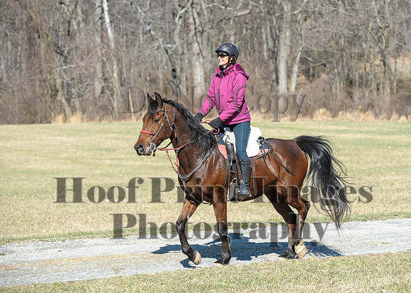 Chesapeake(4-4-15)0383