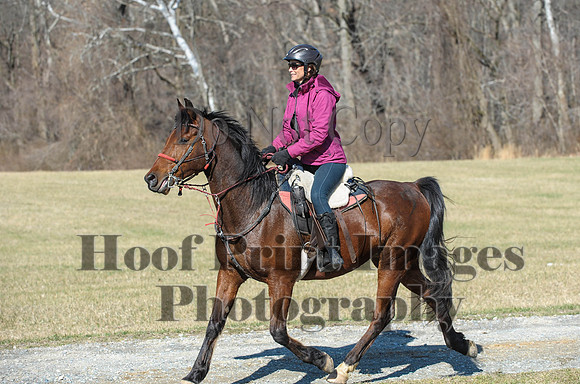Chesapeake(4-4-15)0384