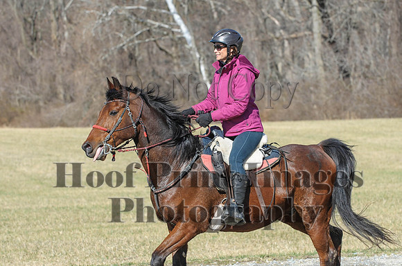 Chesapeake(4-4-15)0385