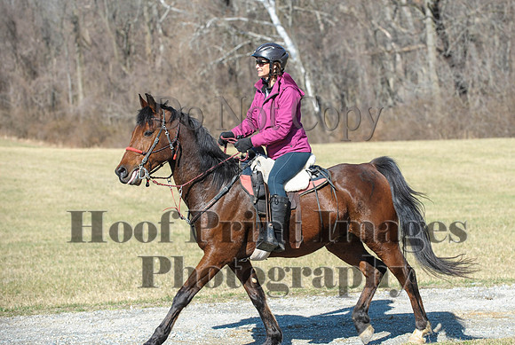 Chesapeake(4-4-15)0386