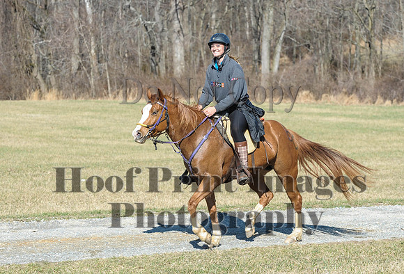 Chesapeake(4-4-15)0387