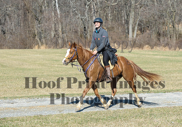 Chesapeake(4-4-15)0388