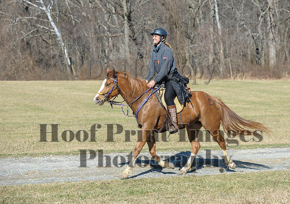 Chesapeake(4-4-15)0389