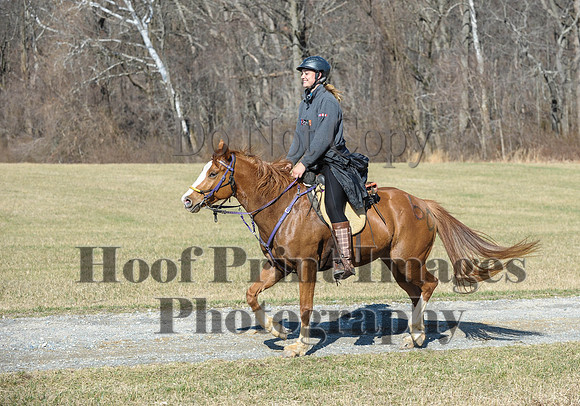 Chesapeake(4-4-15)0390