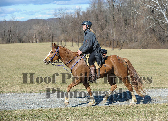 Chesapeake(4-4-15)0391