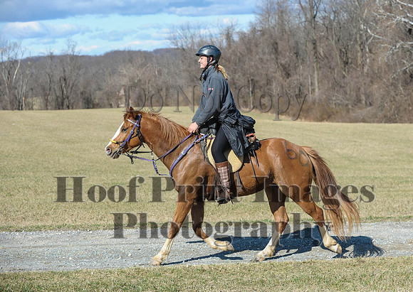 Chesapeake(4-4-15)0392