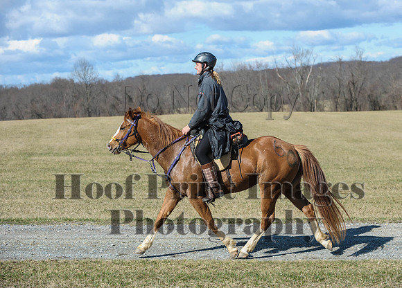 Chesapeake(4-4-15)0393