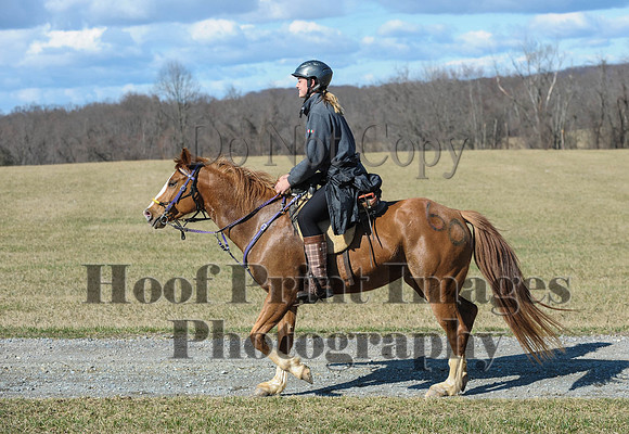 Chesapeake(4-4-15)0394