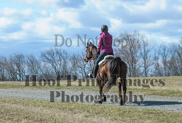 Chesapeake(4-4-15)0395