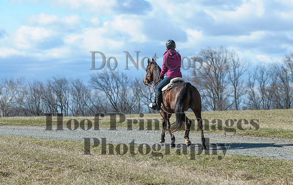 Chesapeake(4-4-15)0396