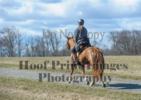 Chesapeake(4-4-15)0397