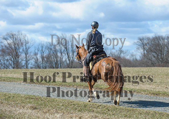 Chesapeake(4-4-15)0398