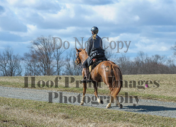 Chesapeake(4-4-15)0399