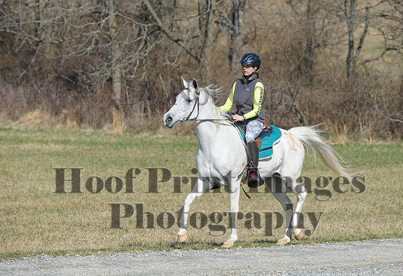 Chesapeake(4-4-15)0403