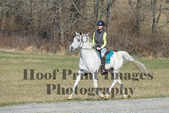 Chesapeake(4-4-15)0404
