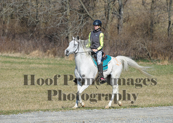Chesapeake(4-4-15)0405