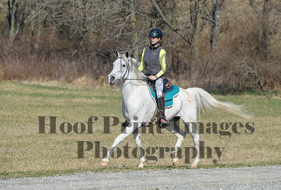 Chesapeake(4-4-15)0406