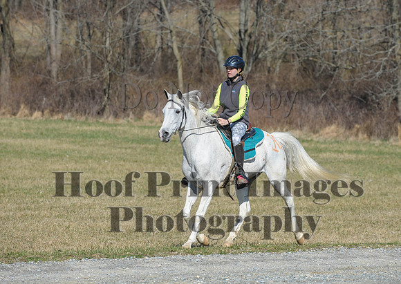 Chesapeake(4-4-15)0407