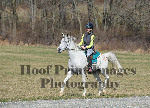 Chesapeake(4-4-15)0408