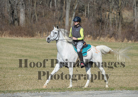 Chesapeake(4-4-15)0409