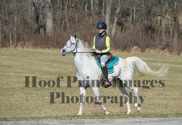 Chesapeake(4-4-15)0410