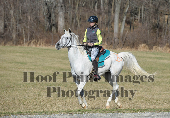 Chesapeake(4-4-15)0411