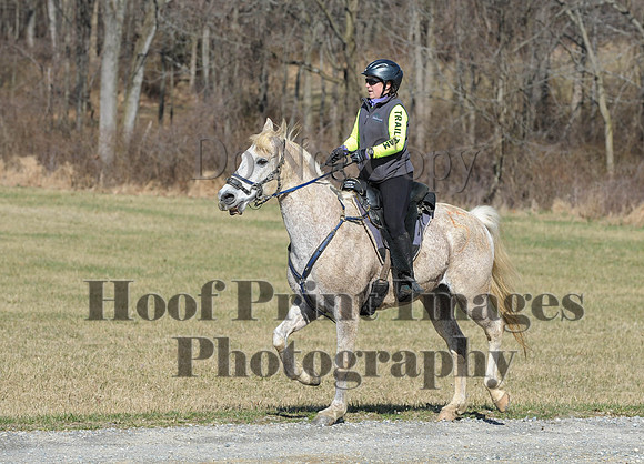 Chesapeake(4-4-15)0412