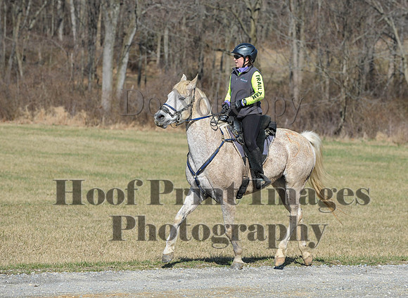Chesapeake(4-4-15)0413