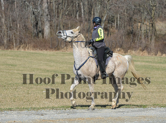 Chesapeake(4-4-15)0414
