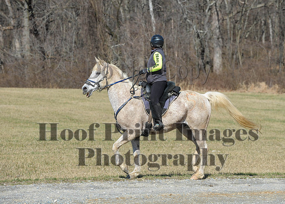 Chesapeake(4-4-15)0415
