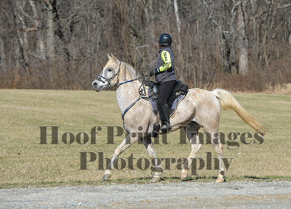 Chesapeake(4-4-15)0416