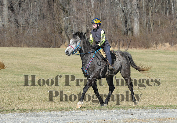 Chesapeake(4-4-15)0418