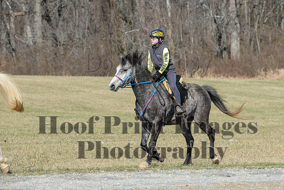 Chesapeake(4-4-15)0419