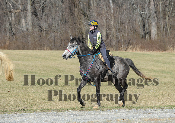 Chesapeake(4-4-15)0420