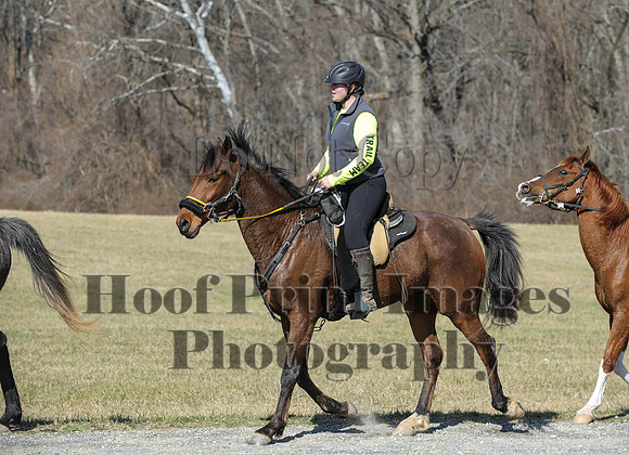 Chesapeake(4-4-15)0423