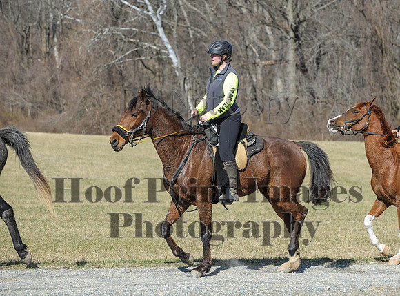 Chesapeake(4-4-15)0424