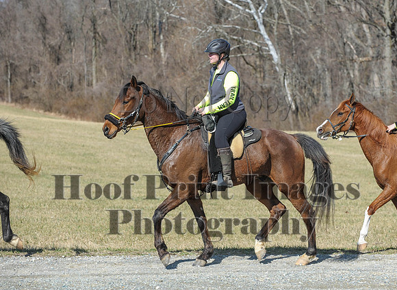 Chesapeake(4-4-15)0425
