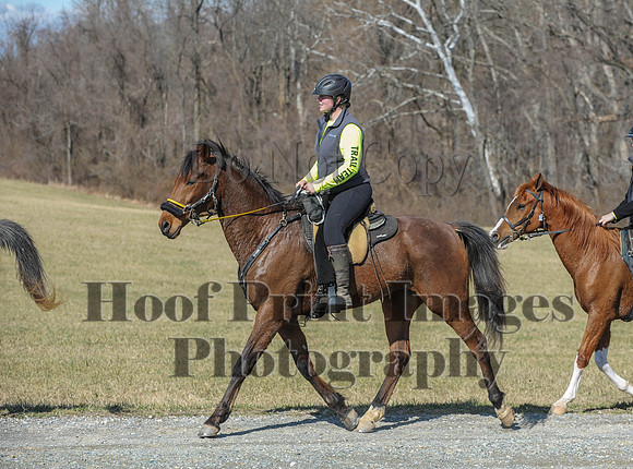 Chesapeake(4-4-15)0426