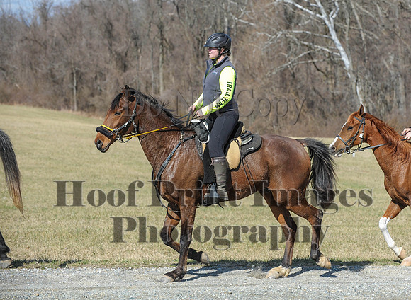 Chesapeake(4-4-15)0427