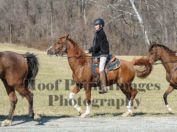 Chesapeake(4-4-15)0428