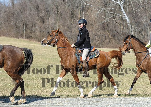Chesapeake(4-4-15)0429
