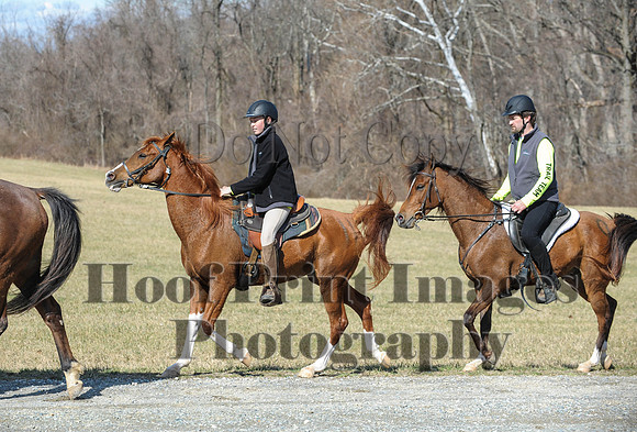 Chesapeake(4-4-15)0430
